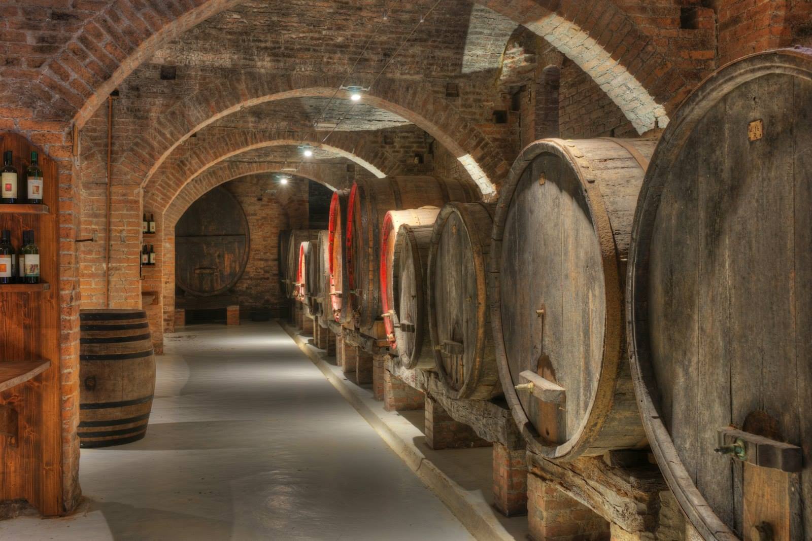 Volte in mattoni della cantina con botti