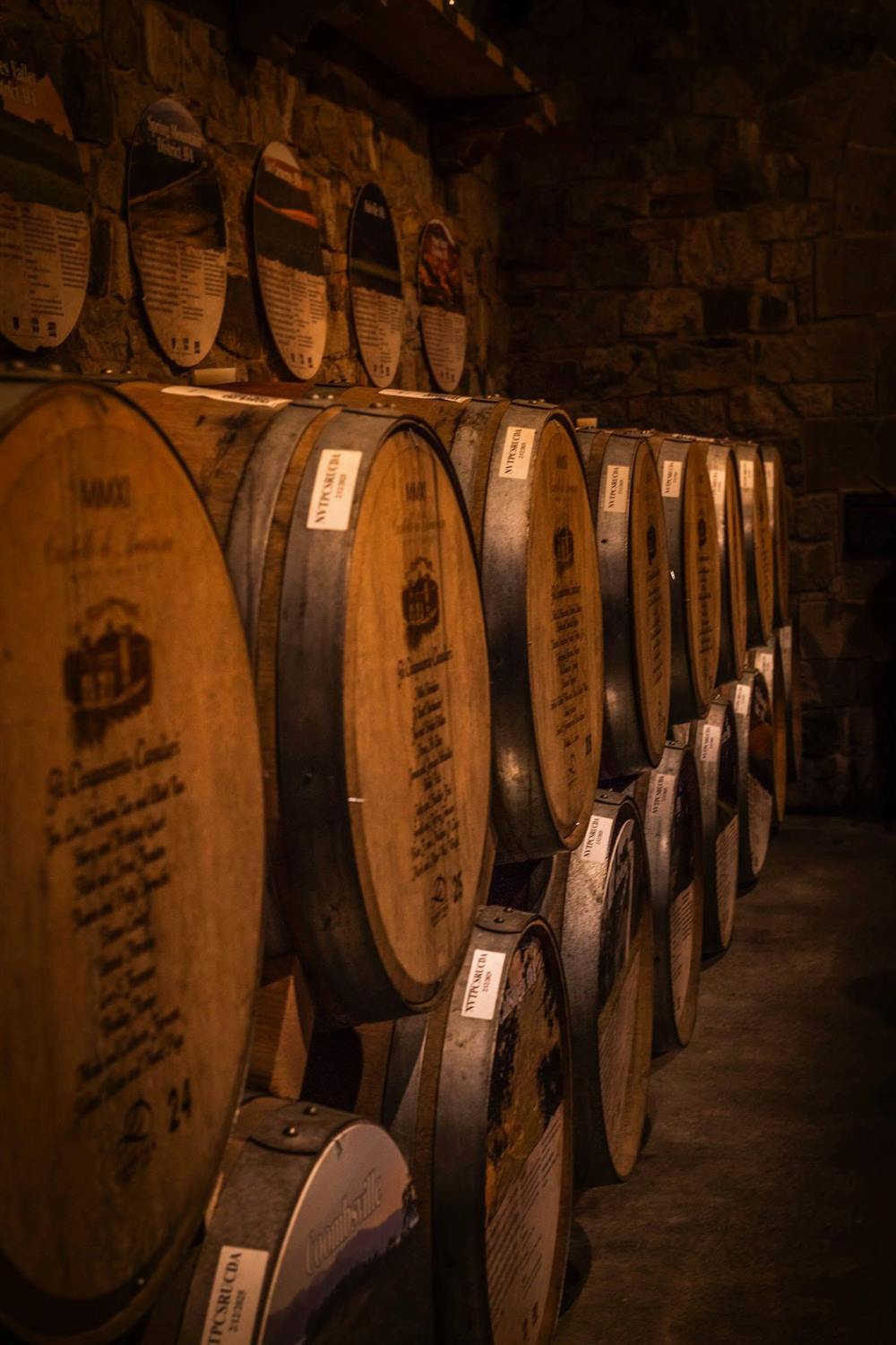 Botti di rovere in cantina