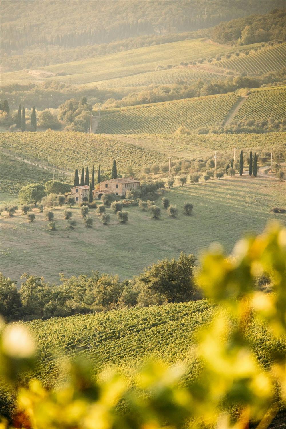 Villa toscana tra vigne e cipressi